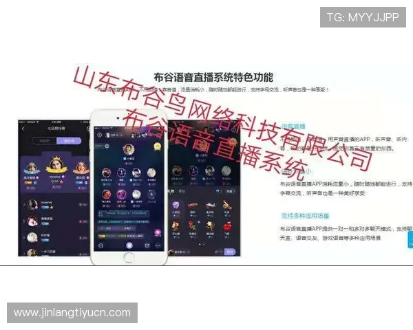 斗球体育直播平台安全稳定运营指南，保障用户个人信息与观看体验的双重安全