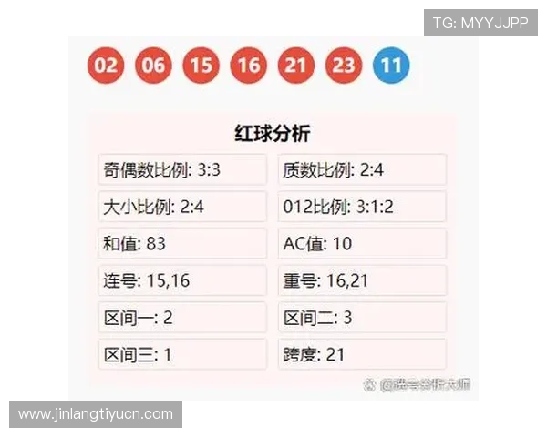 双色球复式投注器复式计算器在实际投注中的应用技巧帮助玩家科学规划投注方案提升中奖几率